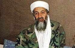 gallery/bin laden