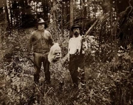 best bigfoot image